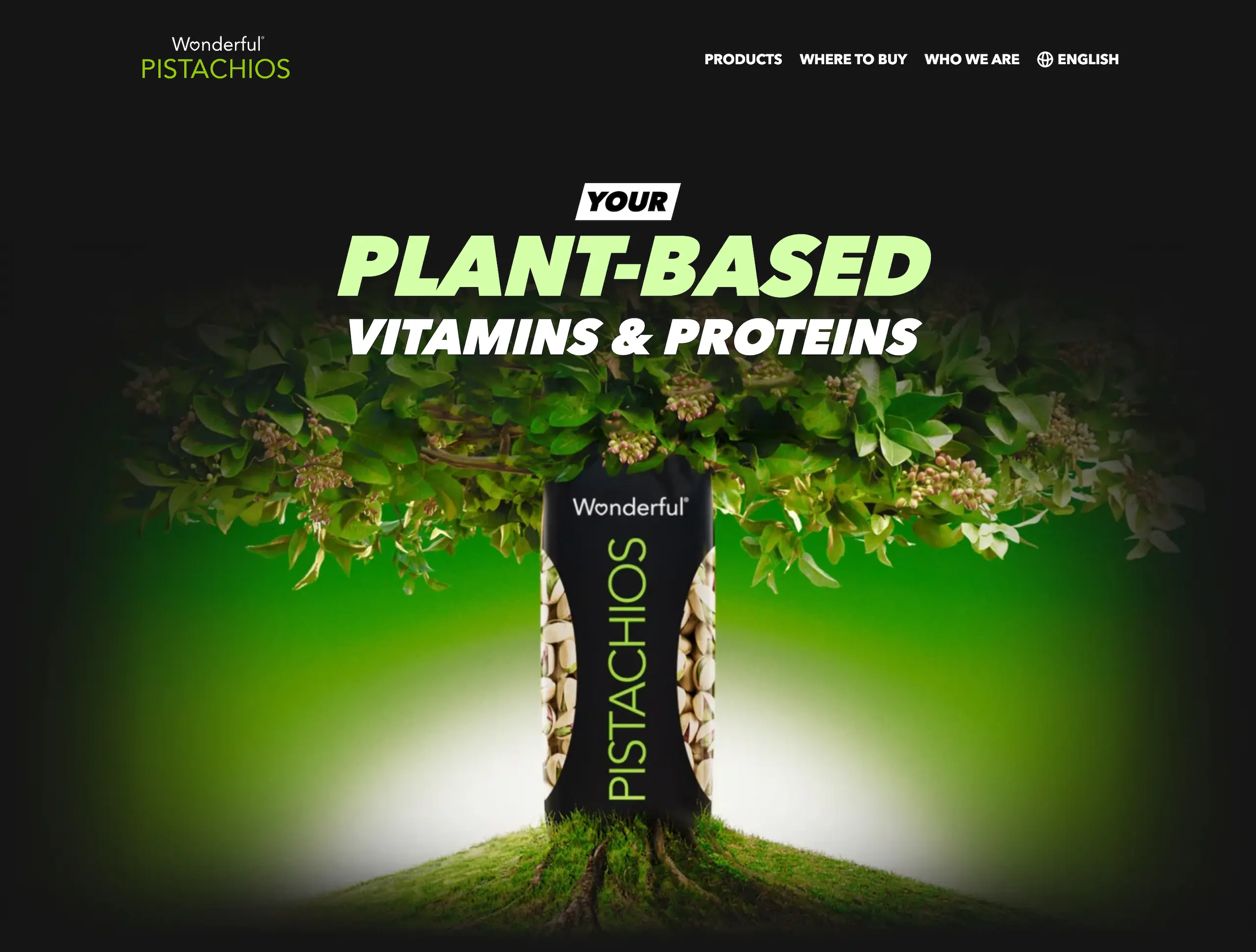 EMEA Wonderful Pistachios project preview